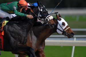 Beyond Oracle Forms with Texas Racing Commission
