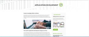 Insum APEX application development services