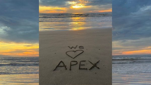 For Valentine's Day, we asked co-workers and peers at Insum and in our community what they loved about Oracle APEX. A community love letter to our favorite low code platform.